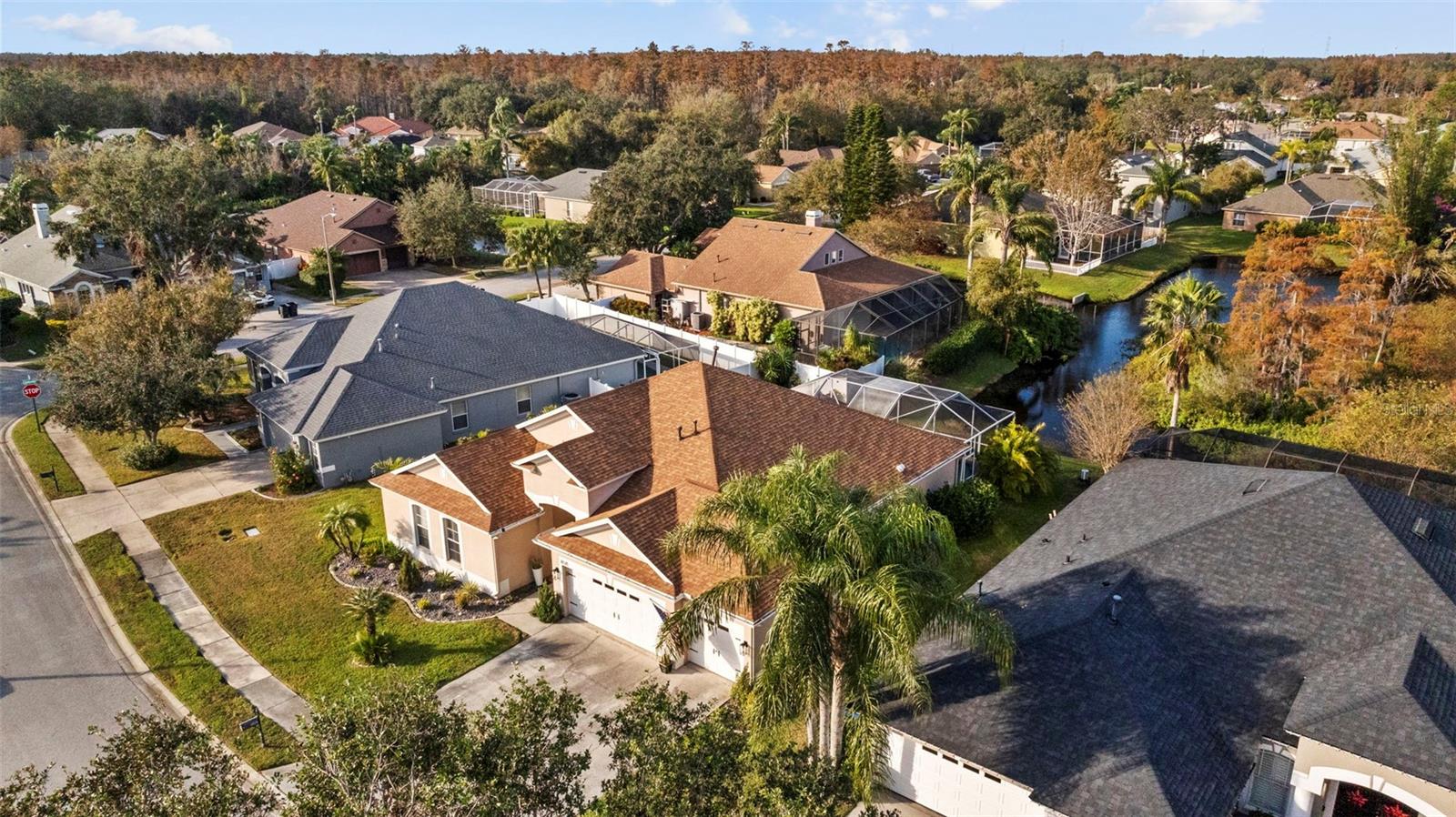 8535 LOVAS TRL, TRINITY, FL, 34655