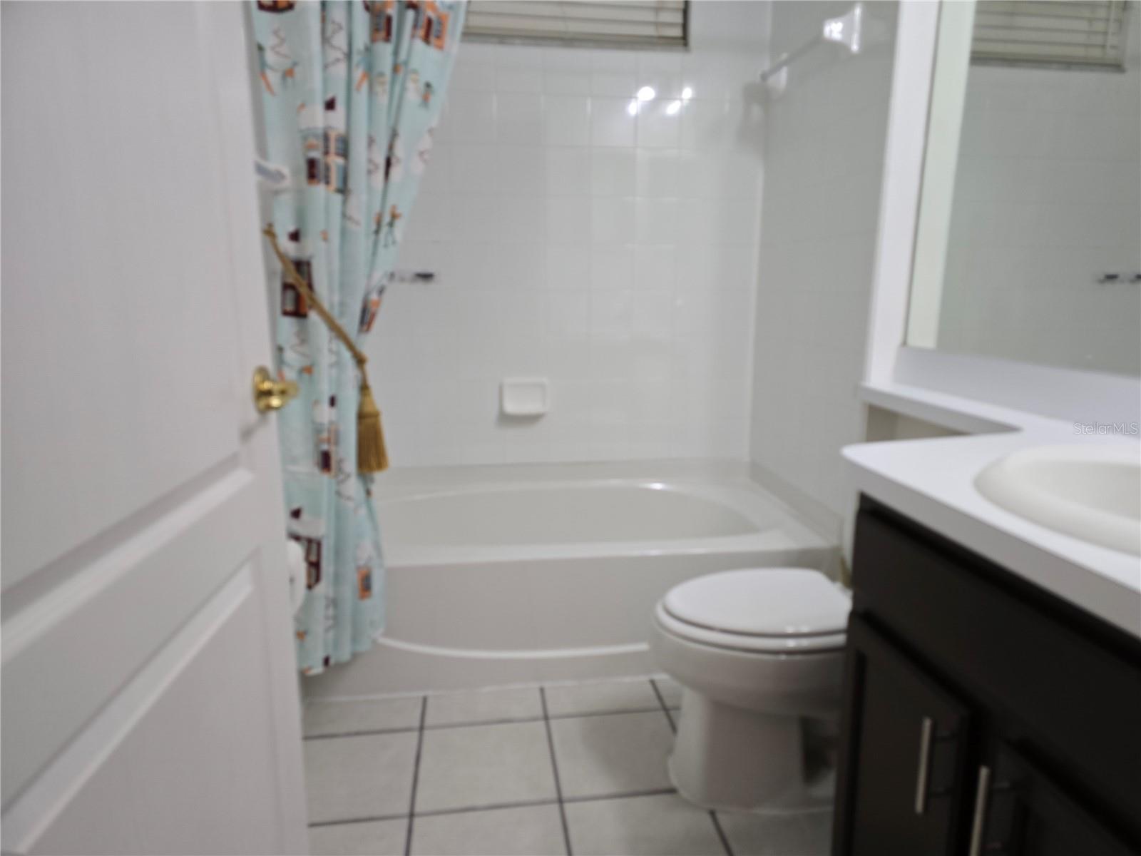 10462 LUCAYA DR, TAMPA, FL, 33647