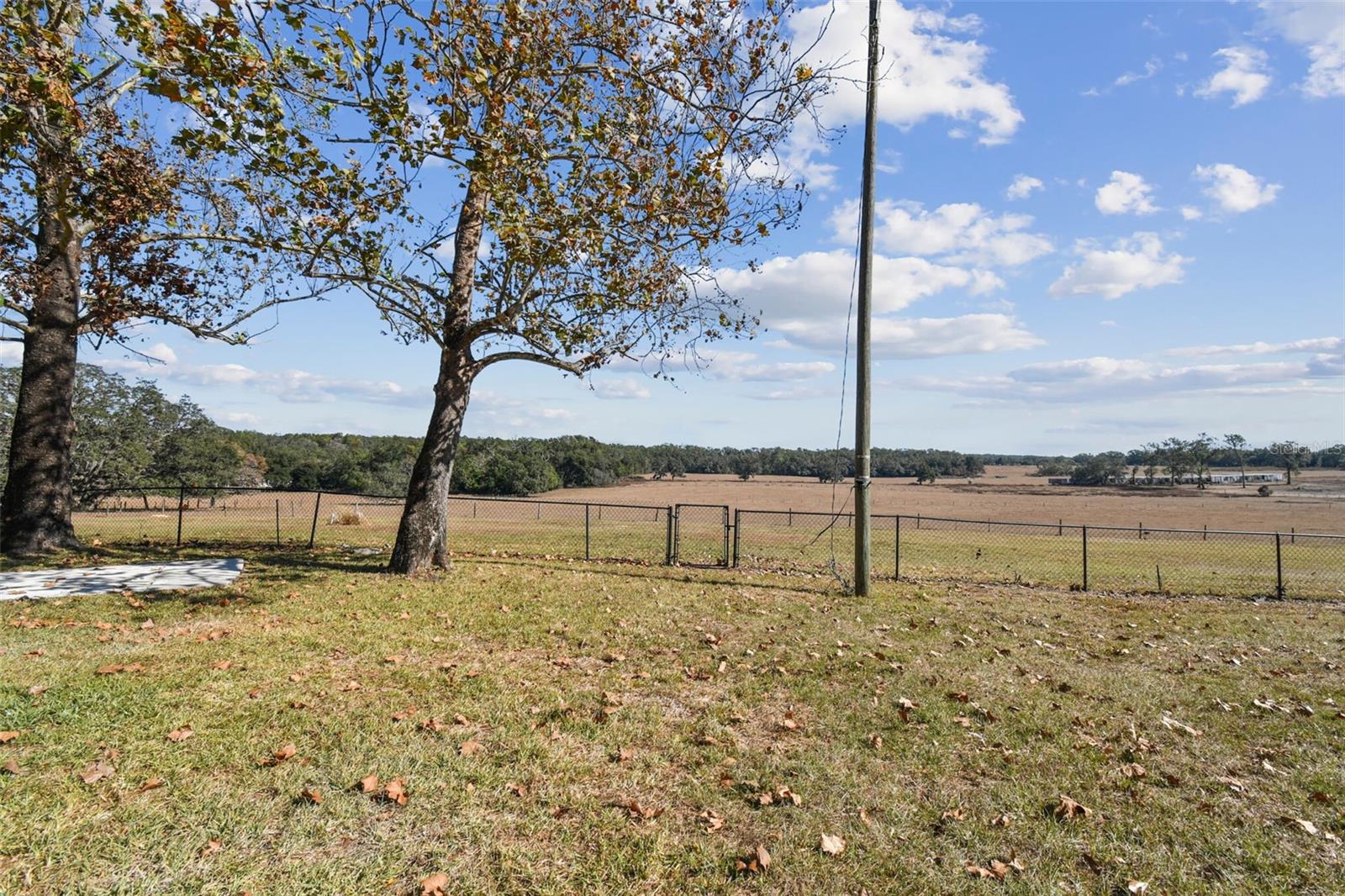 12424 SMITH RD, DADE CITY, FL, 33525