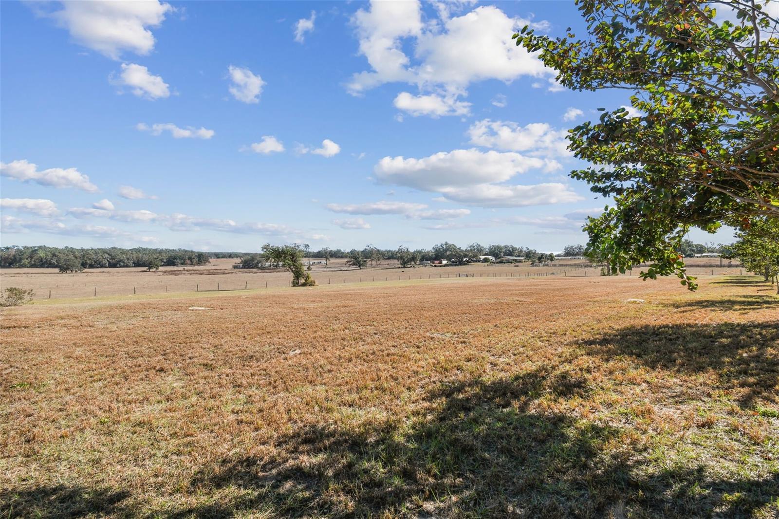 12424 SMITH RD, DADE CITY, FL, 33525