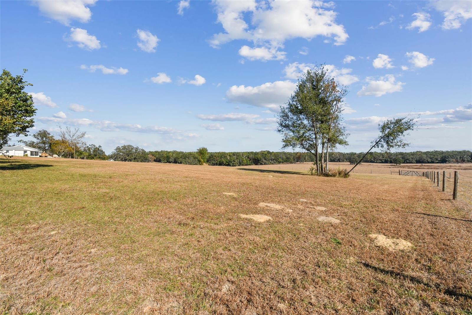 12424 SMITH RD, DADE CITY, FL, 33525