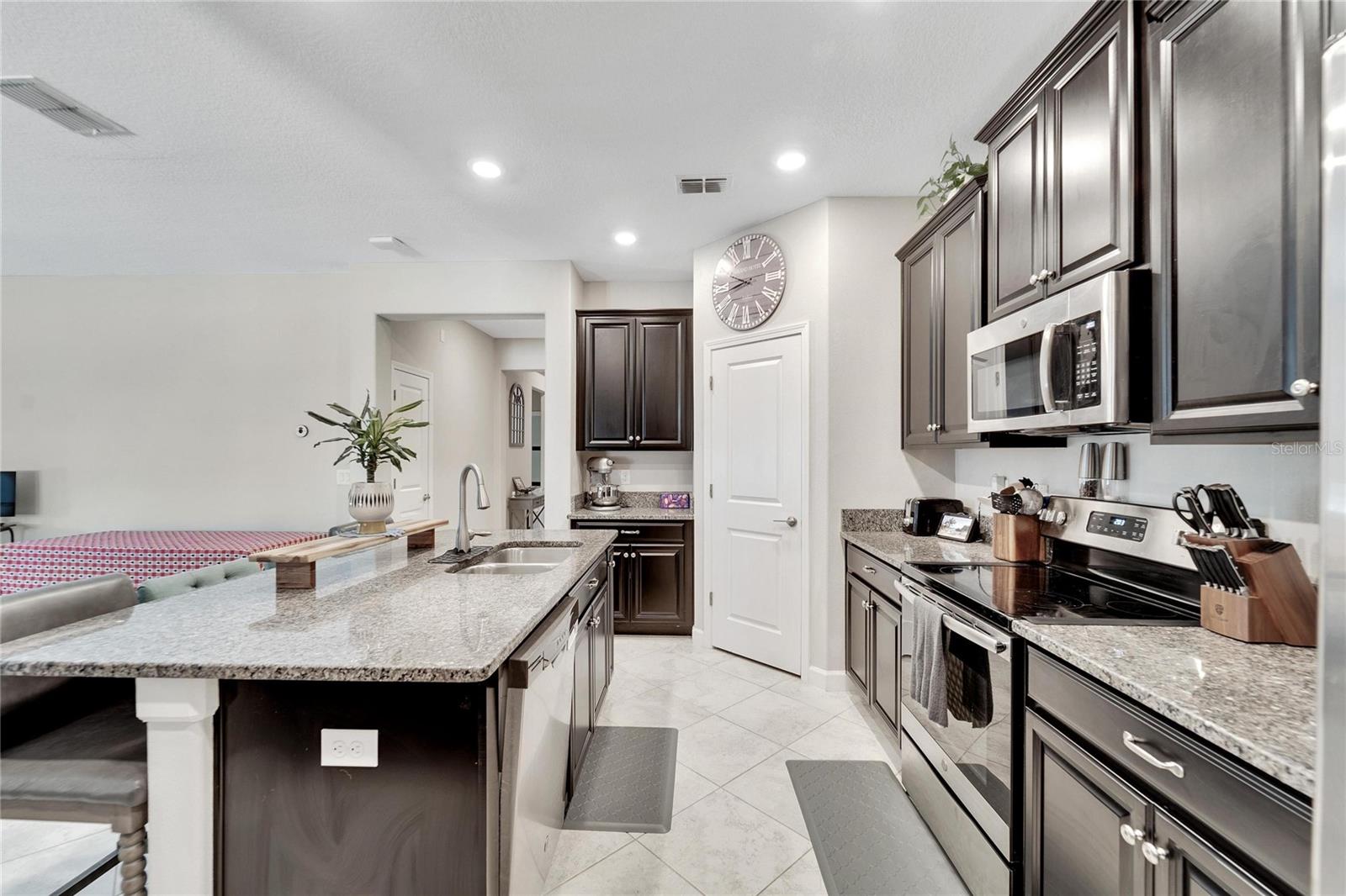 13210 ORCA SOUND DR, RIVERVIEW, FL, 33579
