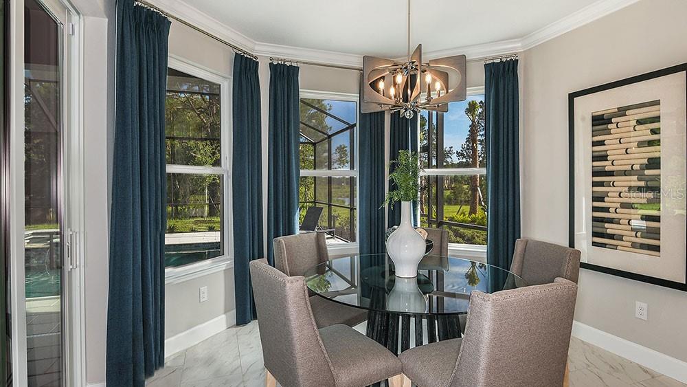 2058 LONGLINER LOOP, WESLEY CHAPEL, FL, 33543