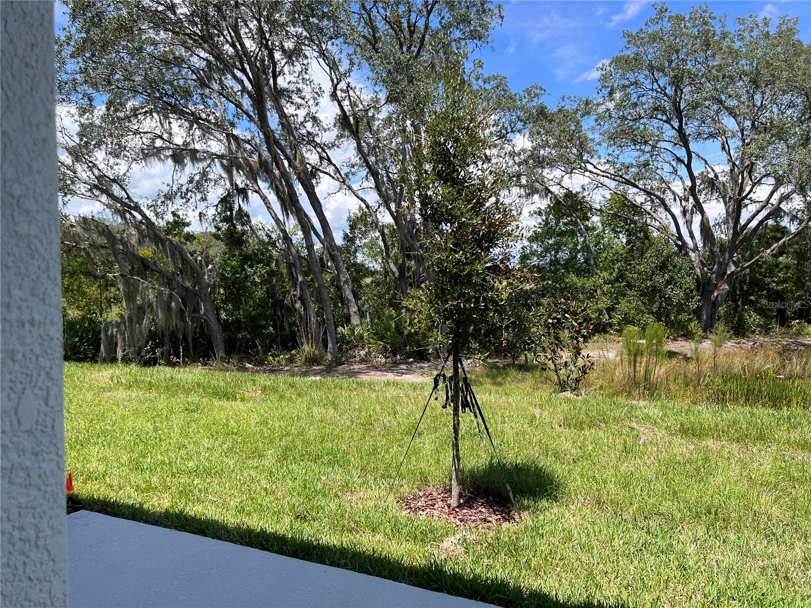1767 SANIBEL DR, DAVENPORT, FL, 33896