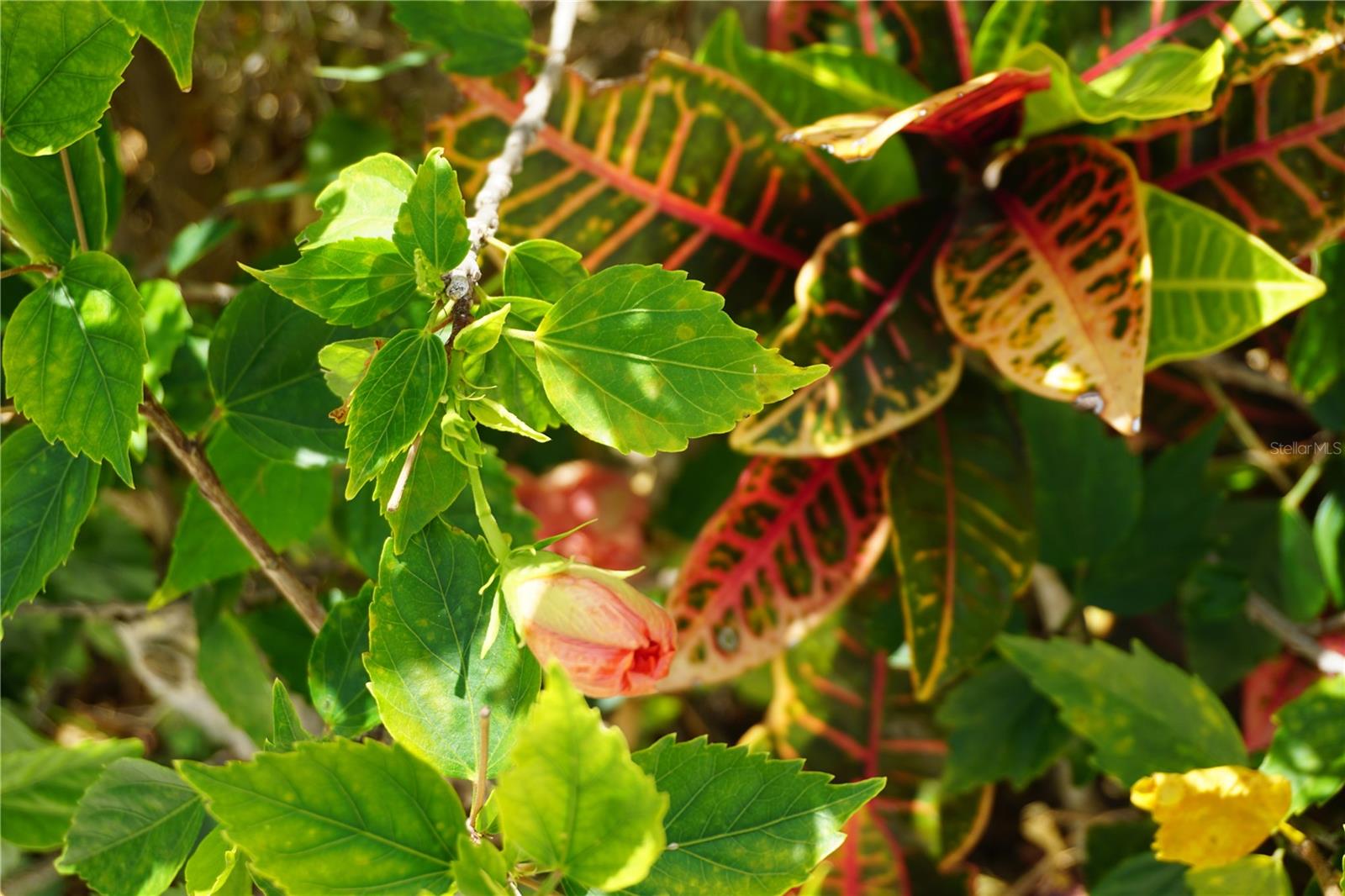 25115 ESMERALDA CT, PUNTA GORDA, FL, 33955