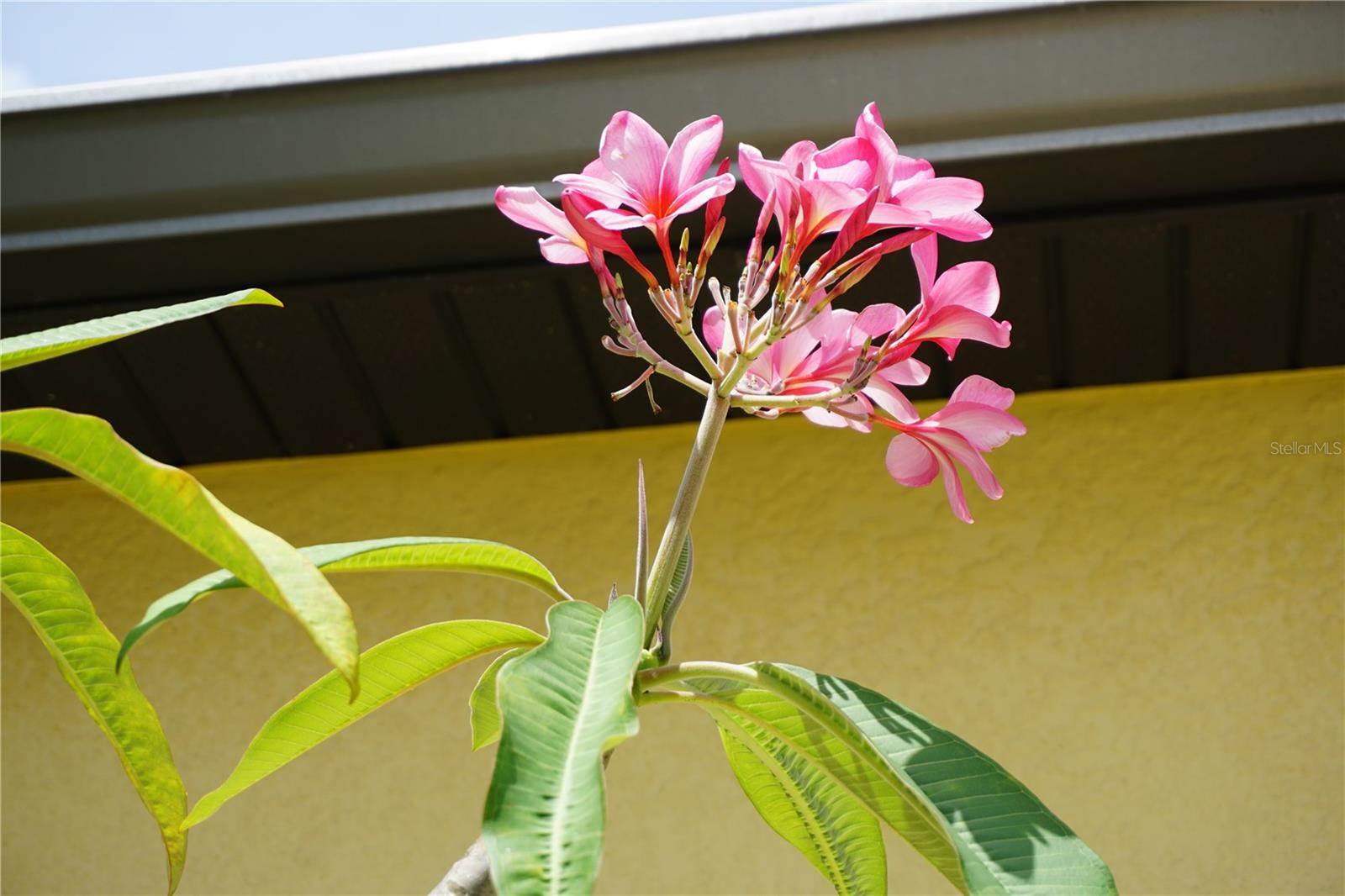 25115 ESMERALDA CT, PUNTA GORDA, FL, 33955