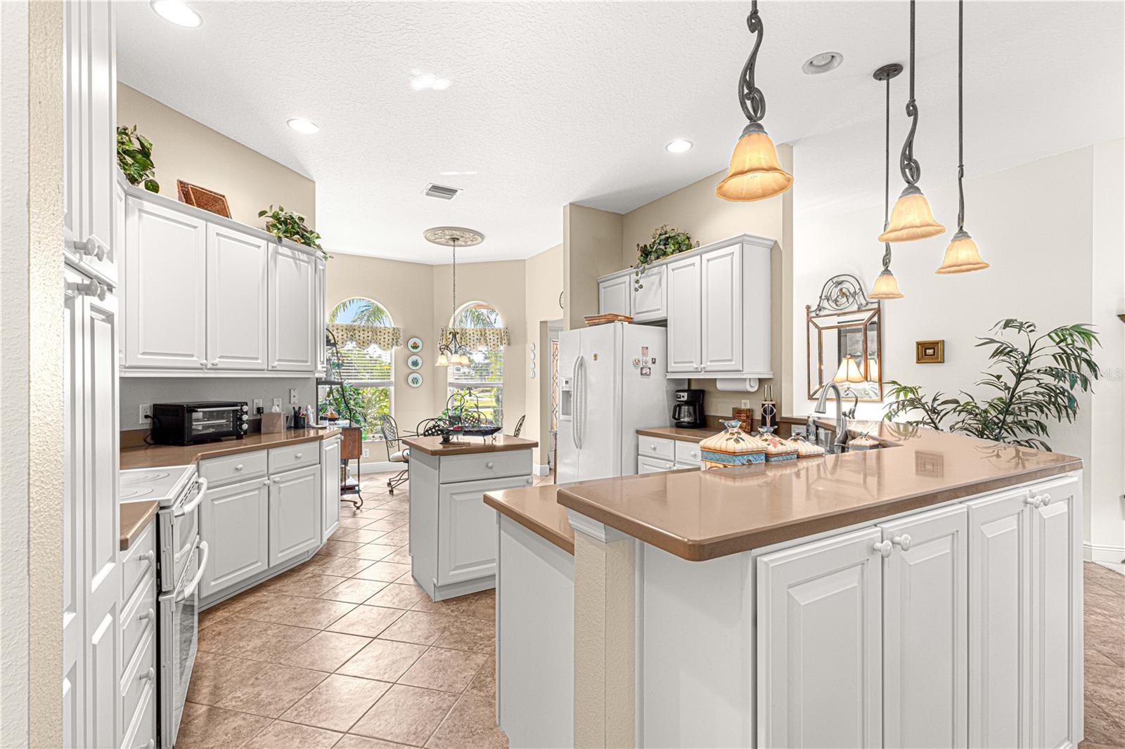 1039 POWDERVILLE PL, THE VILLAGES, FL, 32162