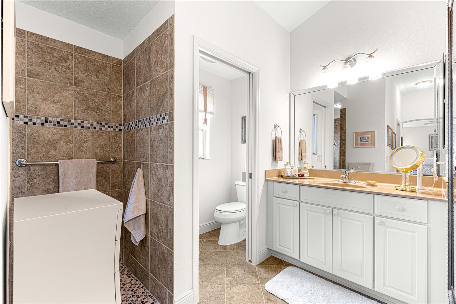 1039 POWDERVILLE PL, THE VILLAGES, FL, 32162