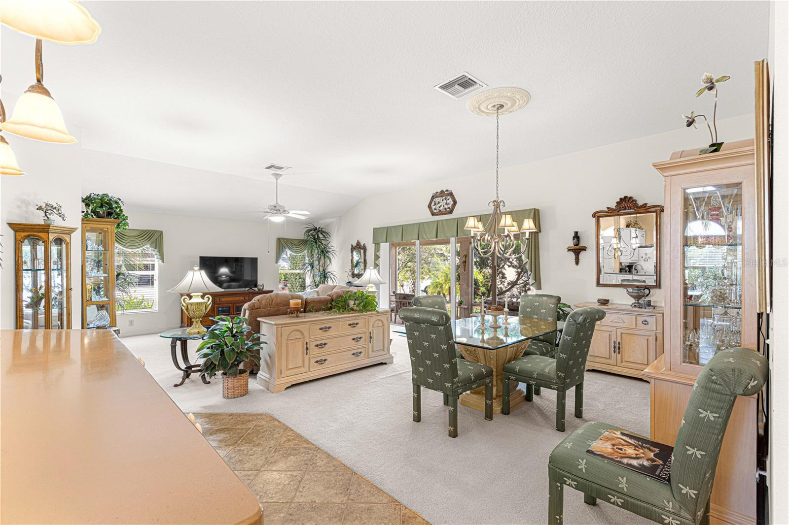 1039 POWDERVILLE PL, THE VILLAGES, FL, 32162
