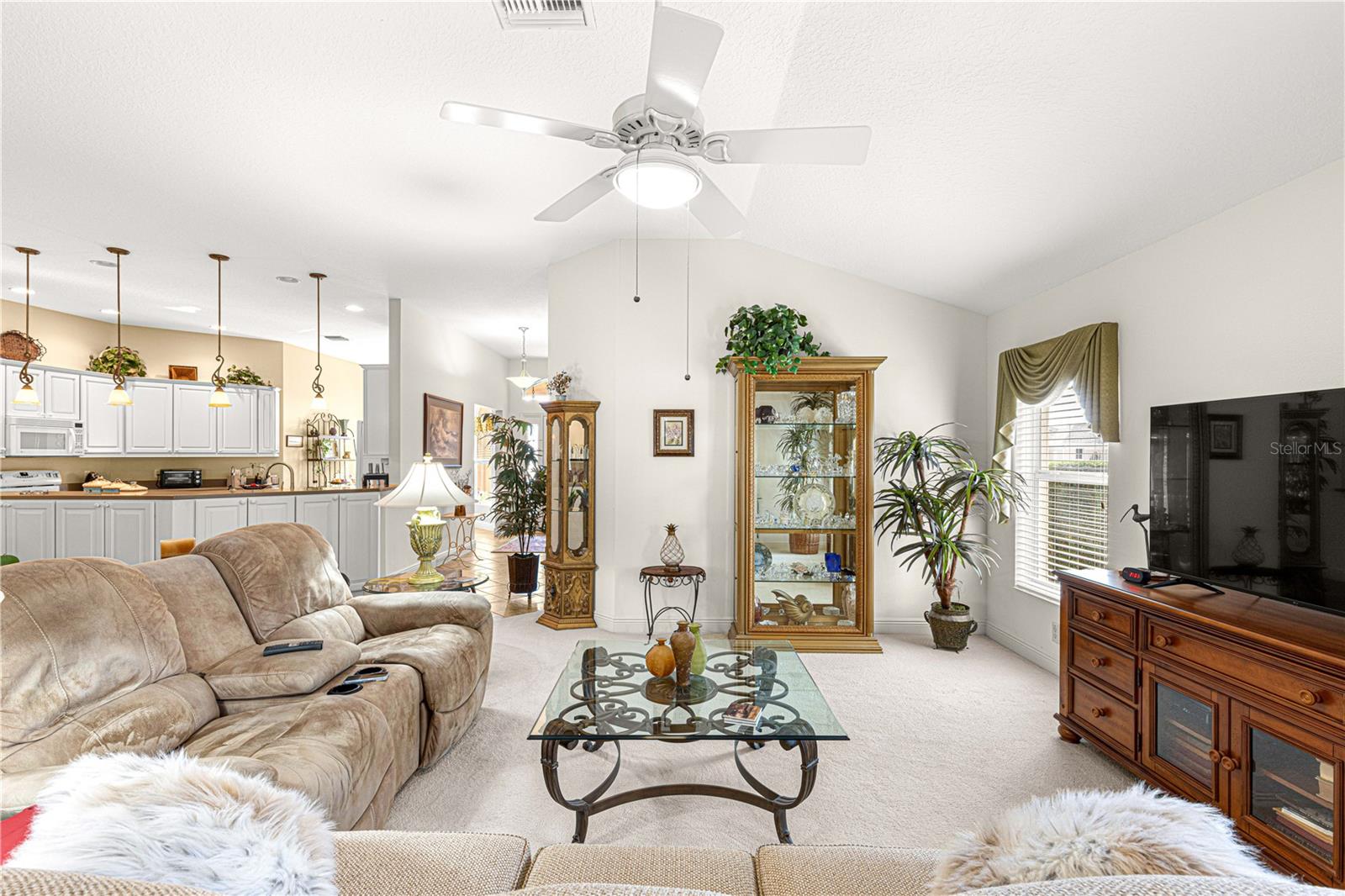 1039 POWDERVILLE PL, THE VILLAGES, FL, 32162