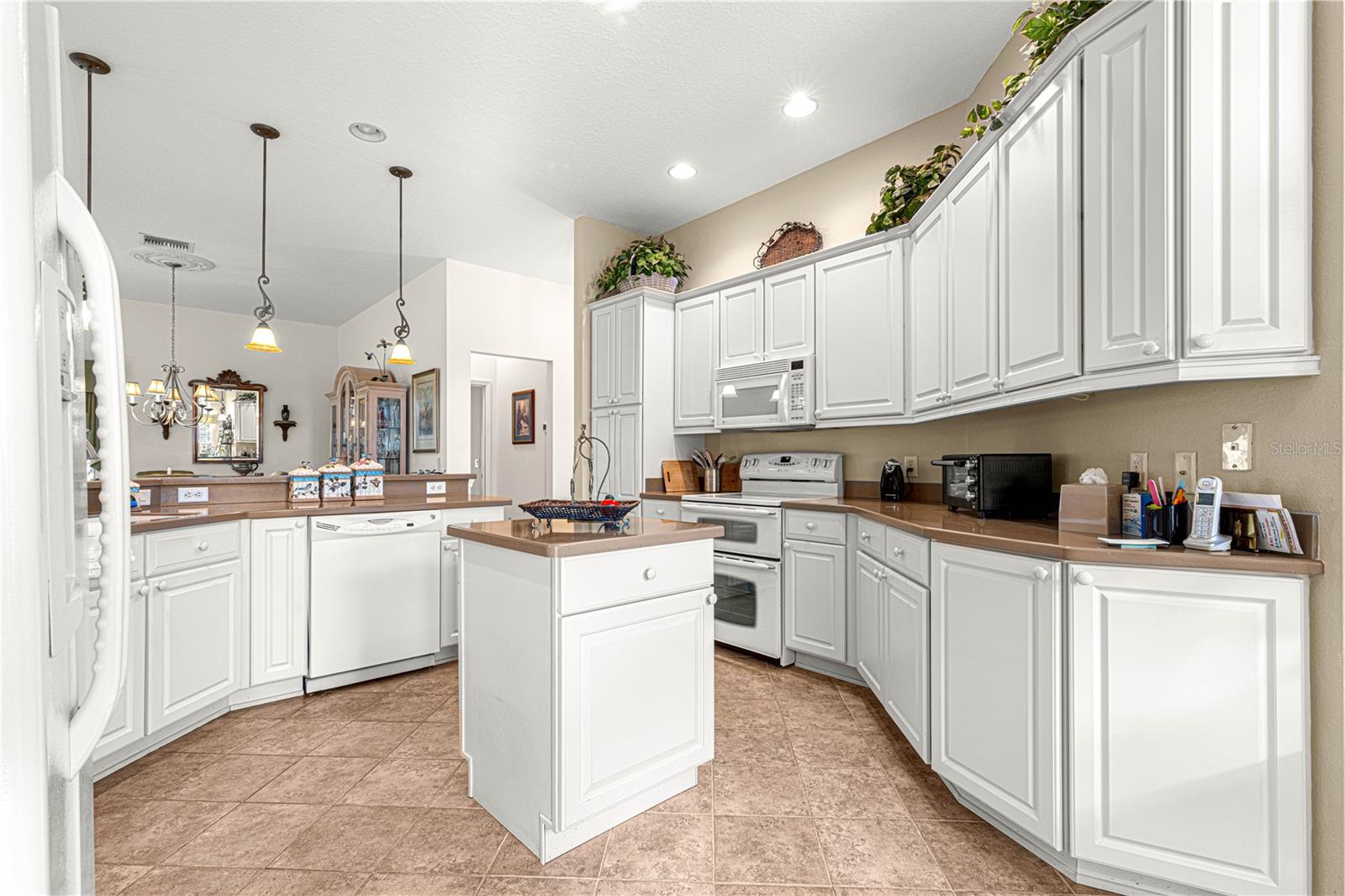 1039 POWDERVILLE PL, THE VILLAGES, FL, 32162