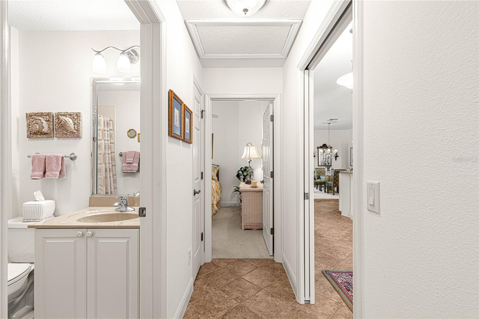 1039 POWDERVILLE PL, THE VILLAGES, FL, 32162