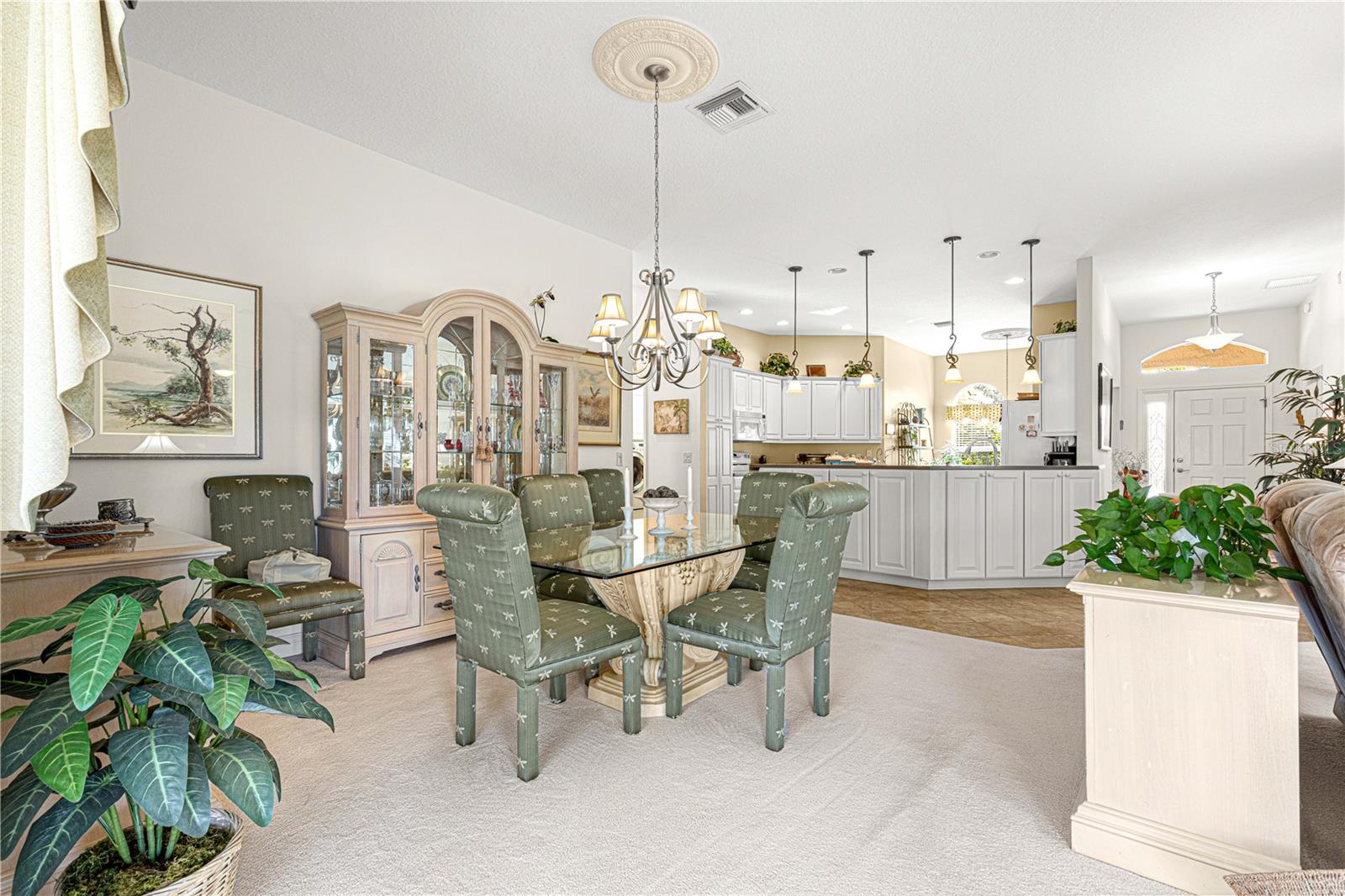 1039 POWDERVILLE PL, THE VILLAGES, FL, 32162