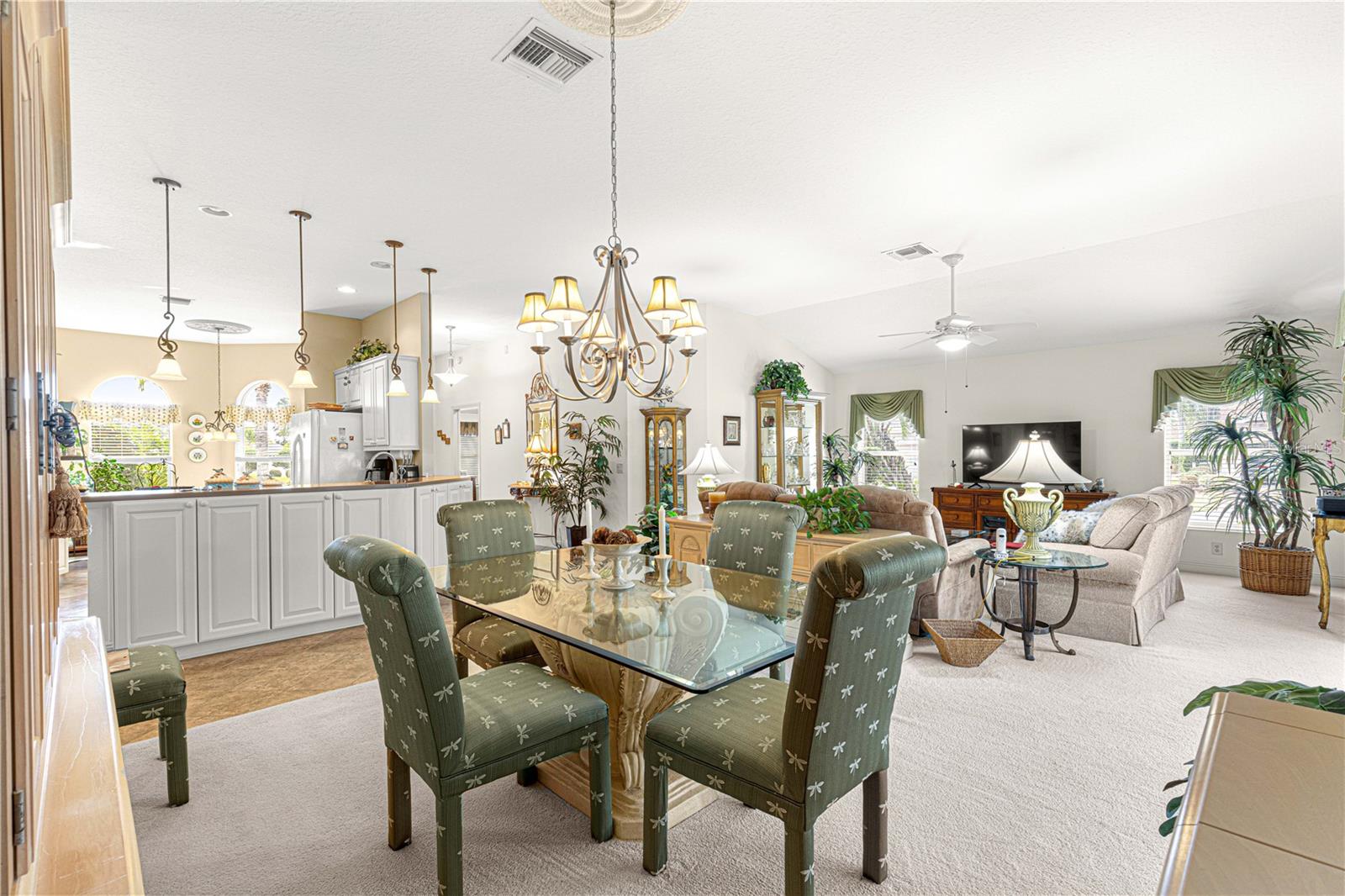 1039 POWDERVILLE PL, THE VILLAGES, FL, 32162