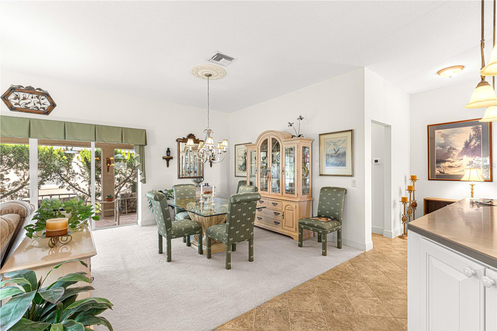 1039 POWDERVILLE PL, THE VILLAGES, FL, 32162