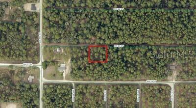 Lot 12 & 13 SW 23RD ST, OCALA, FL, 34481