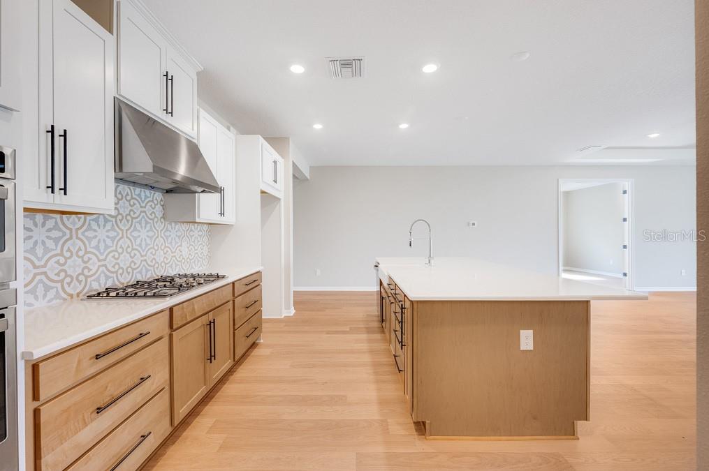 2311 OVERFALLS PL, WESLEY CHAPEL, FL, 33543