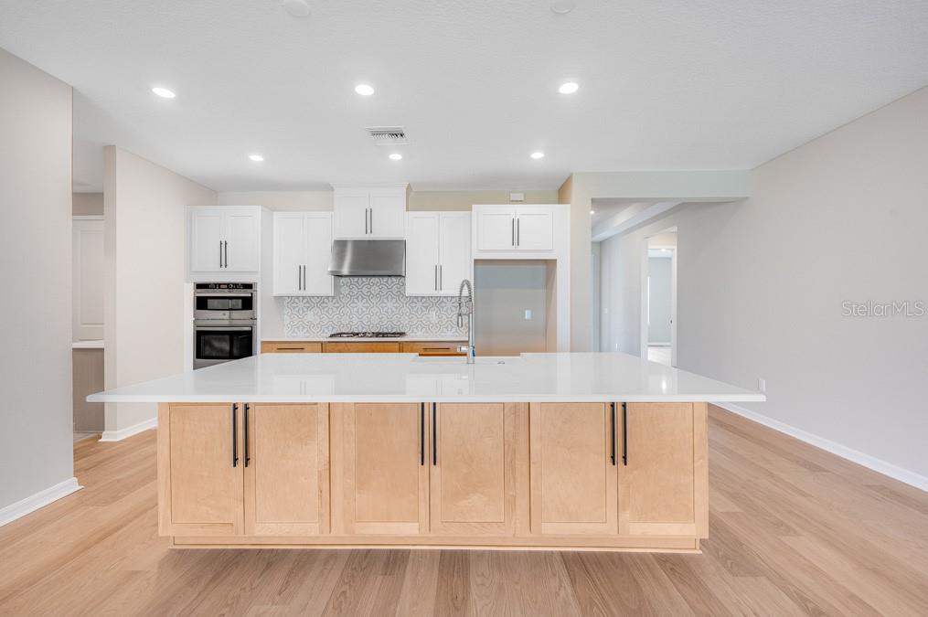 2311 OVERFALLS PL, WESLEY CHAPEL, FL, 33543
