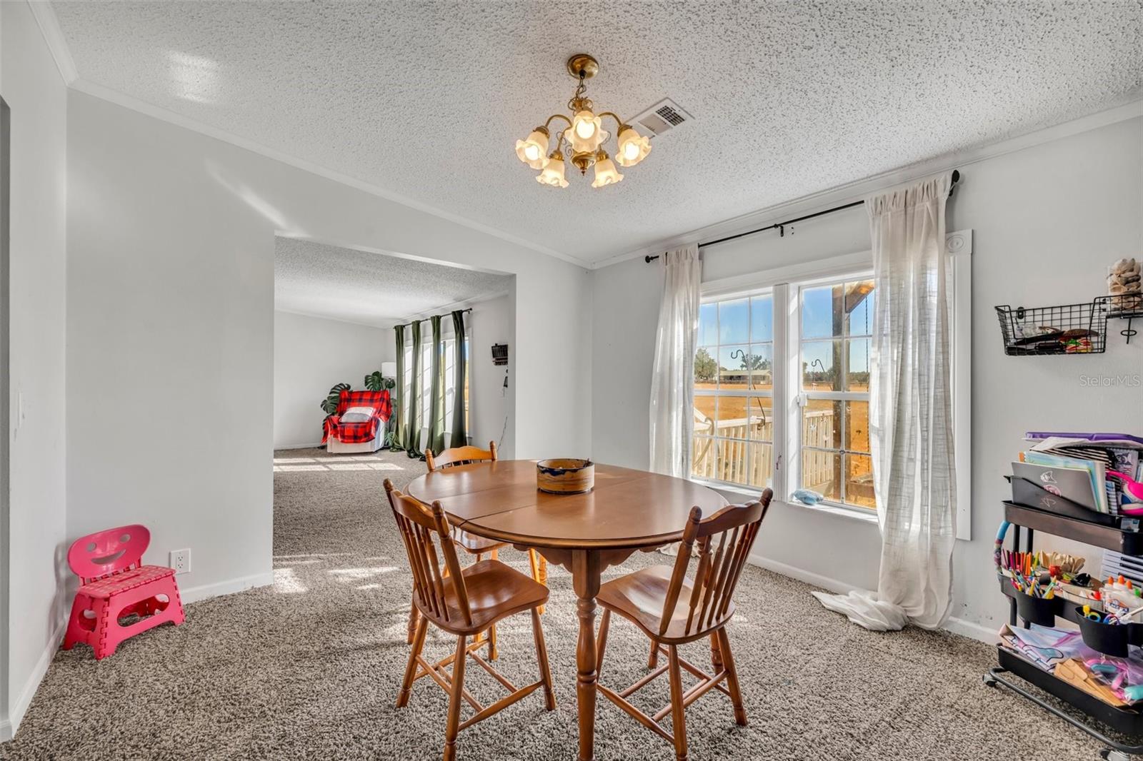 850 NE 107TH RD, OXFORD, FL, 34484