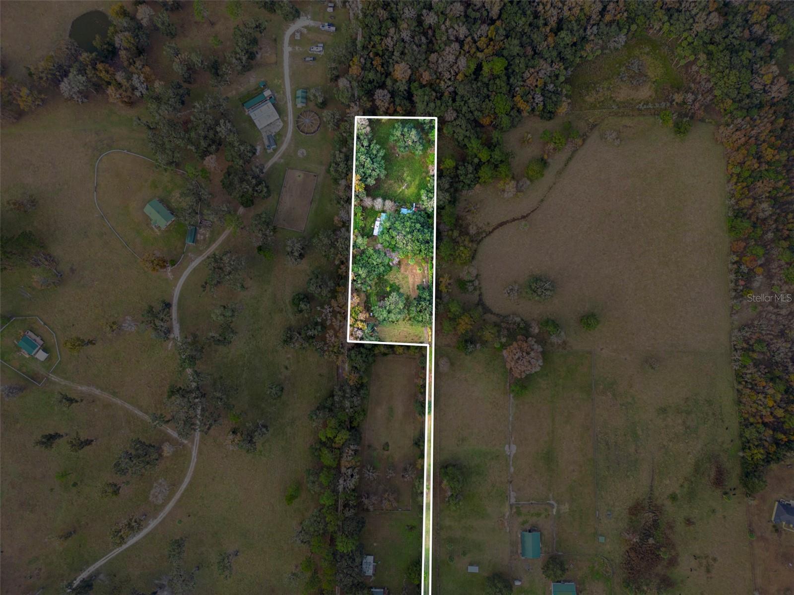 6547 NW 193RD ST, MICANOPY, FL, 32667