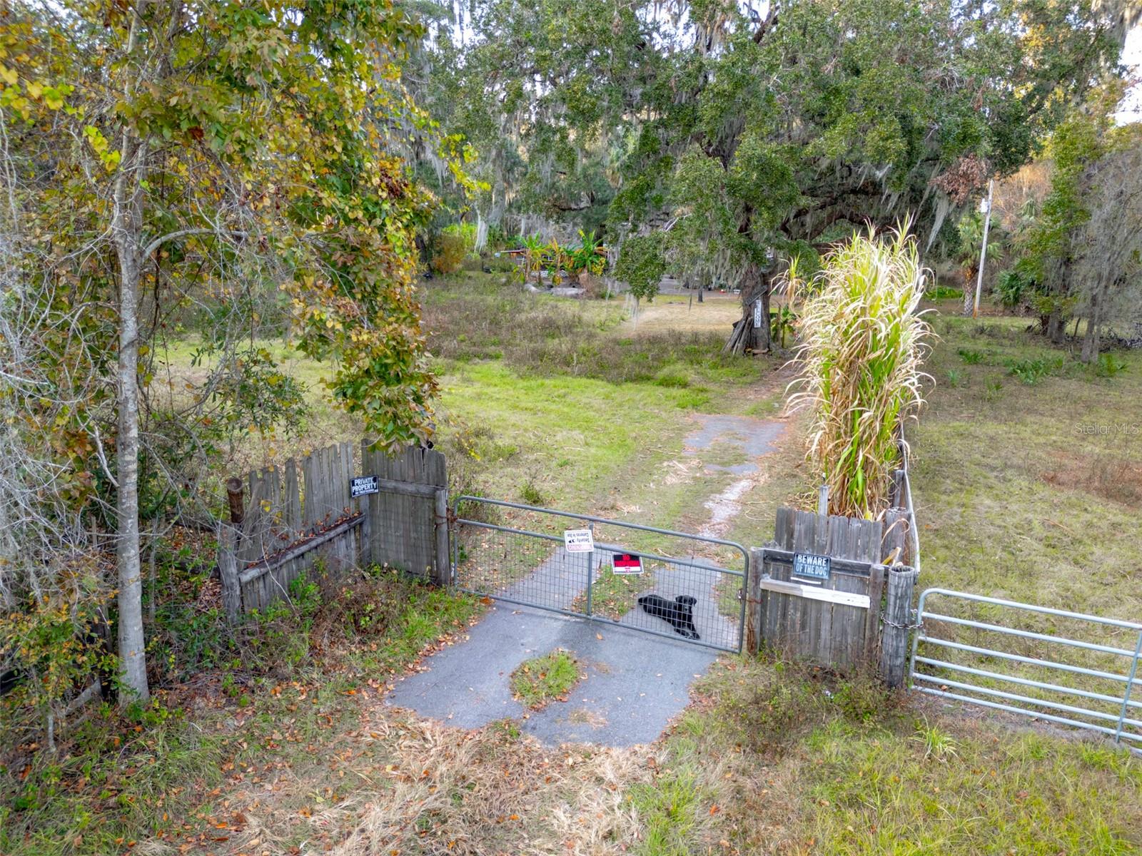 6547 NW 193RD ST, MICANOPY, FL, 32667