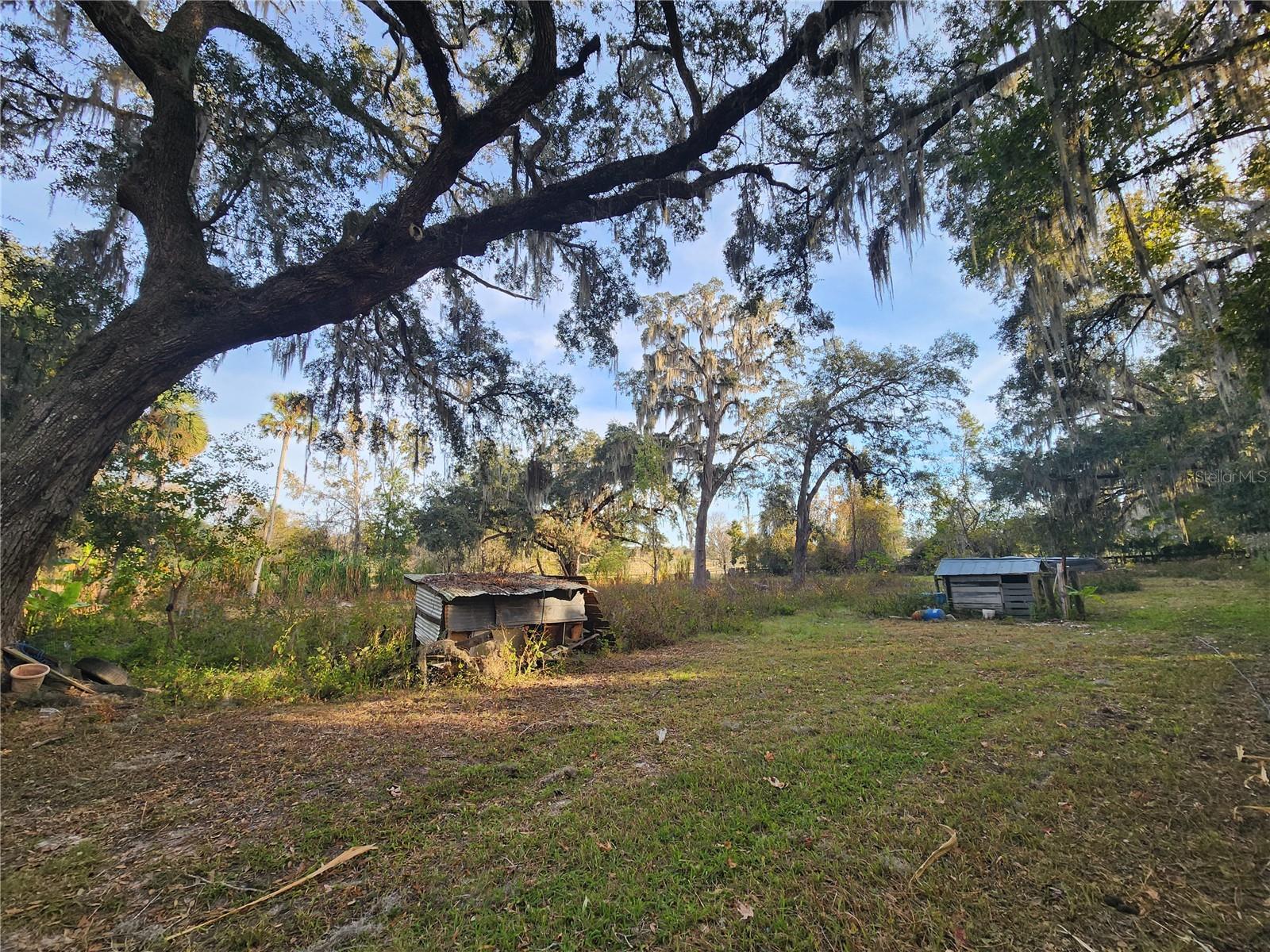6547 NW 193RD ST, MICANOPY, FL, 32667