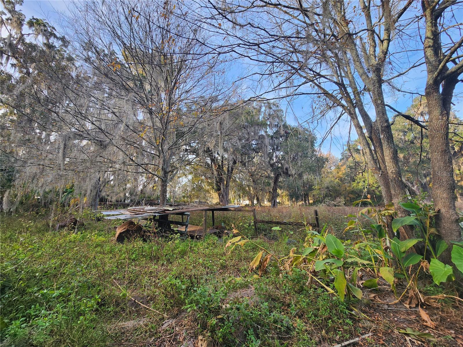 6547 NW 193RD ST, MICANOPY, FL, 32667