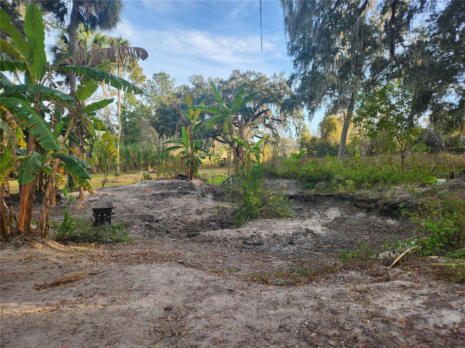 6547 NW 193RD ST, MICANOPY, FL, 32667