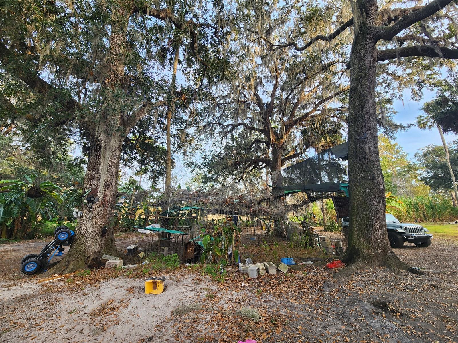 6547 NW 193RD ST, MICANOPY, FL, 32667