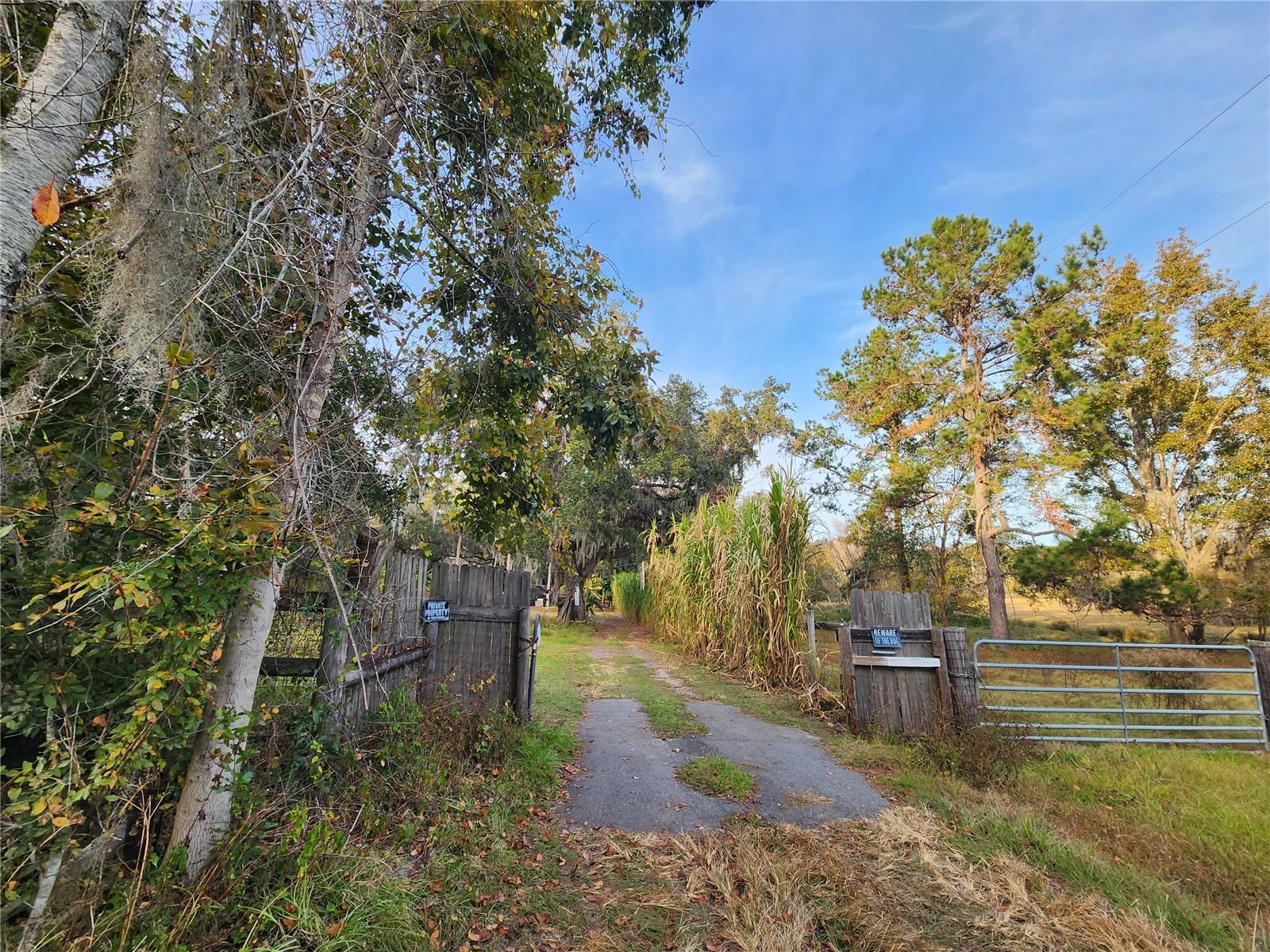6547 NW 193RD ST, MICANOPY, FL, 32667