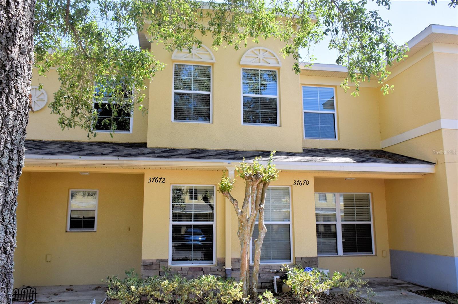 37670 AARALYN RD, ZEPHYRHILLS, FL, 33542