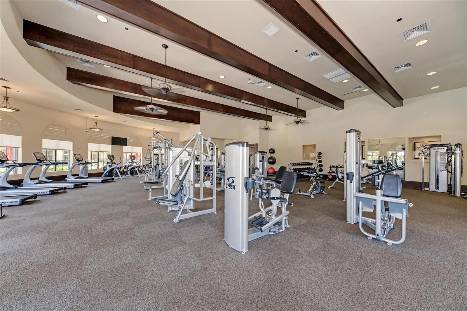 12115 AMICA LOOP, VENICE, FL, 34293