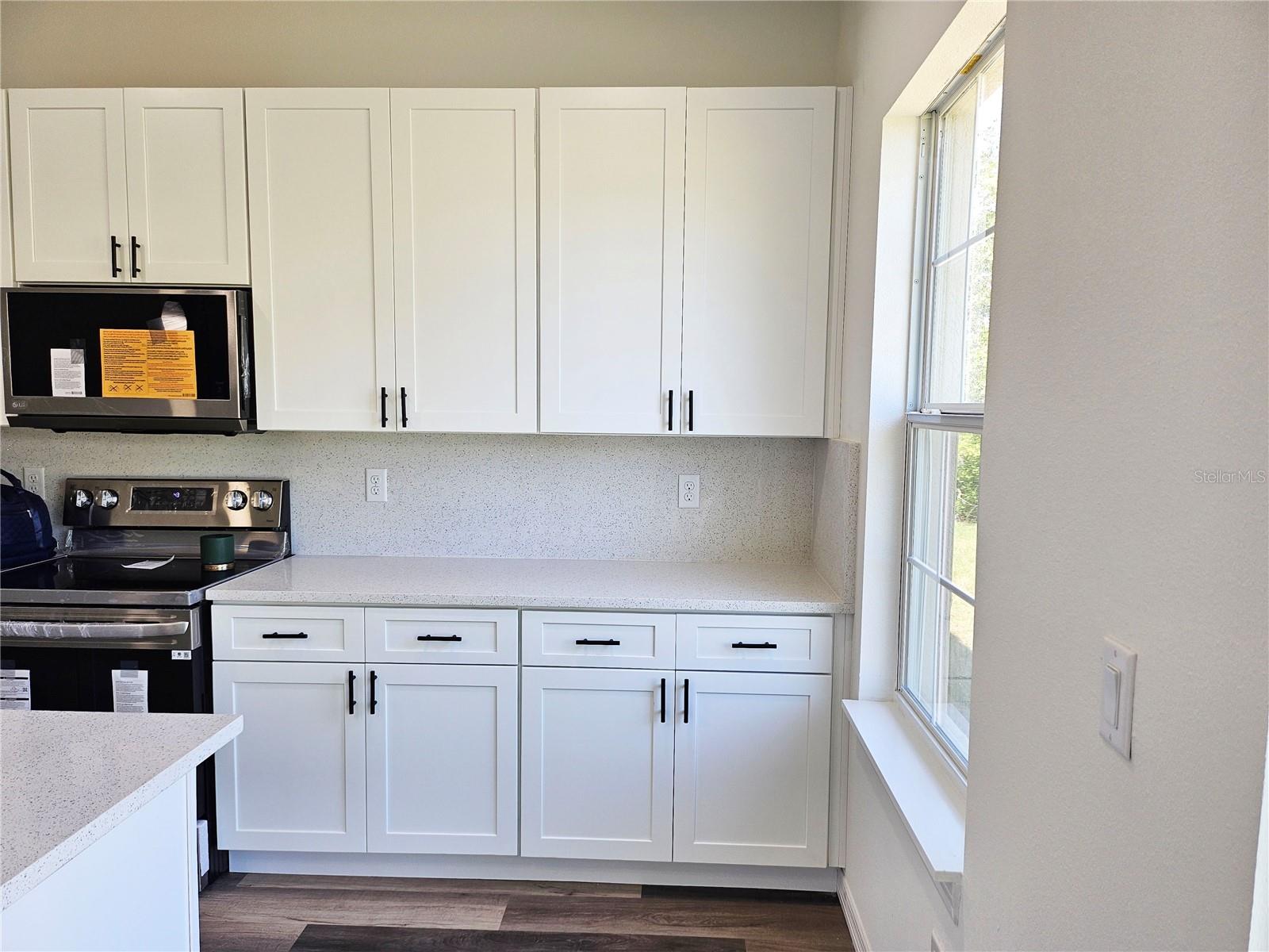 4655 SW 139TH LN, OCALA, FL, 34473