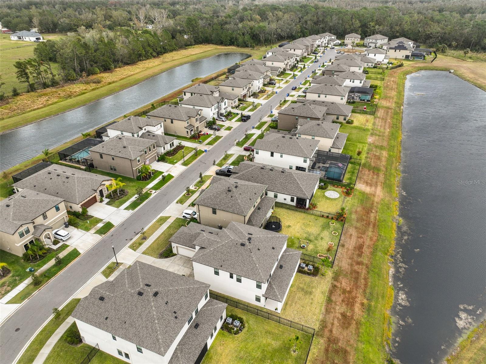 14825 PADDOCK POND AVE, LITHIA, FL, 33547