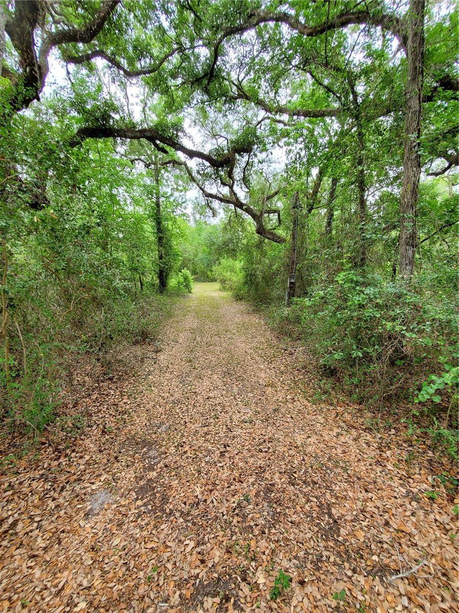 RINGWALT DR, DADE CITY, FL, 33523