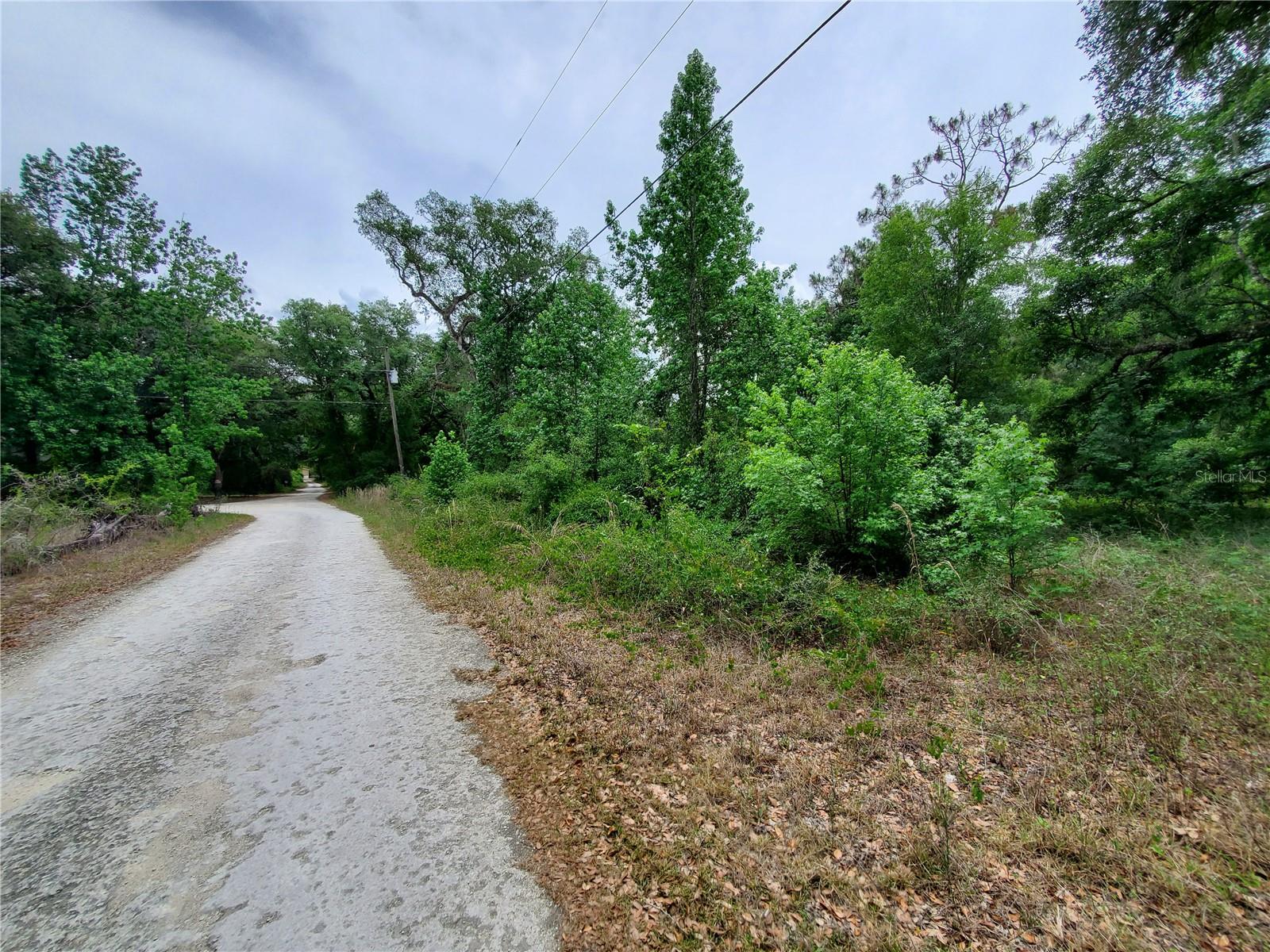 RINGWALT DR, DADE CITY, FL, 33523