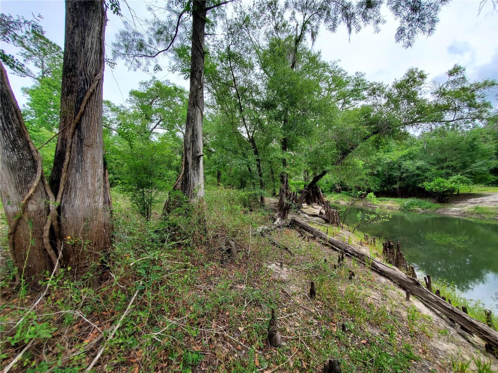 RINGWALT DR, DADE CITY, FL, 33523