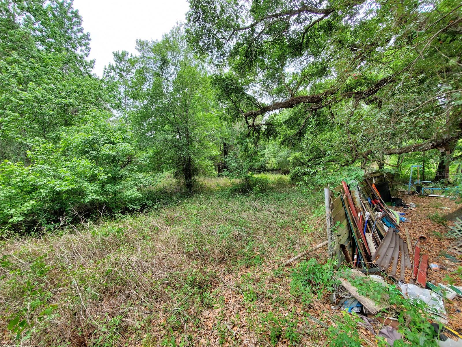 RINGWALT DR, DADE CITY, FL, 33523