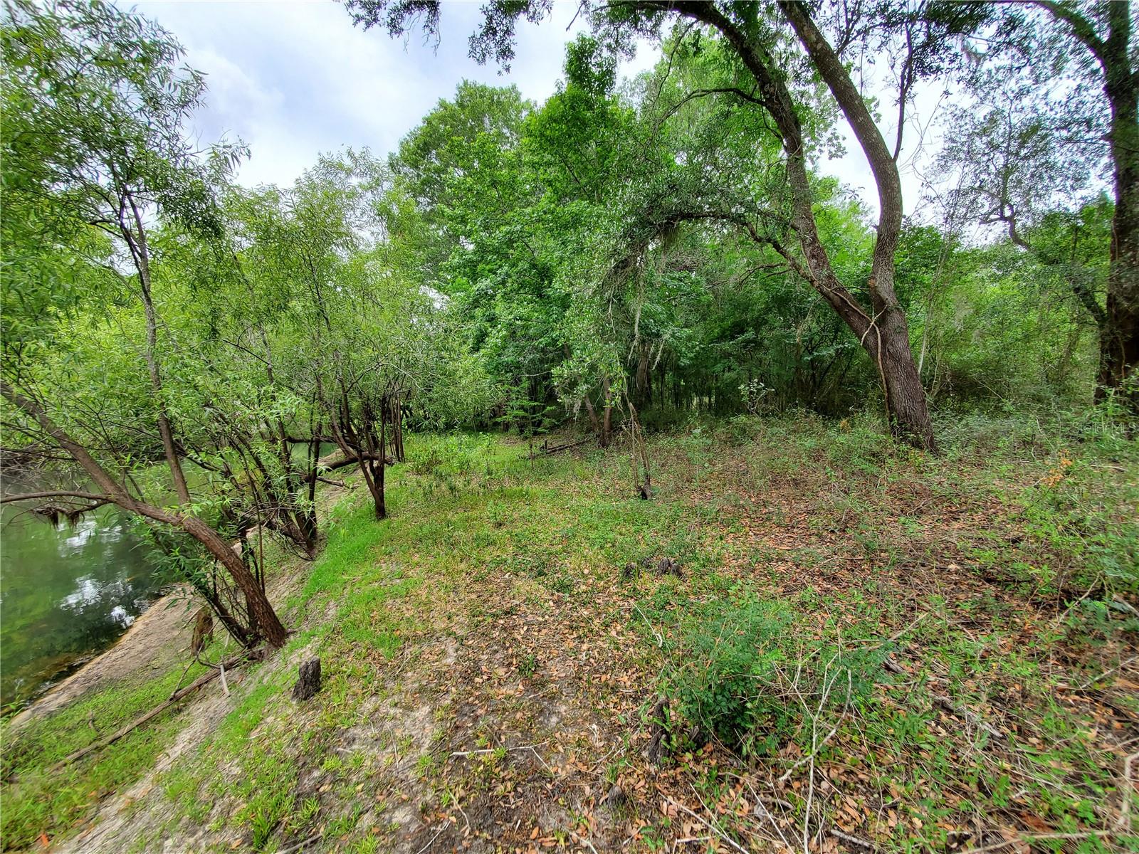RINGWALT DR, DADE CITY, FL, 33523
