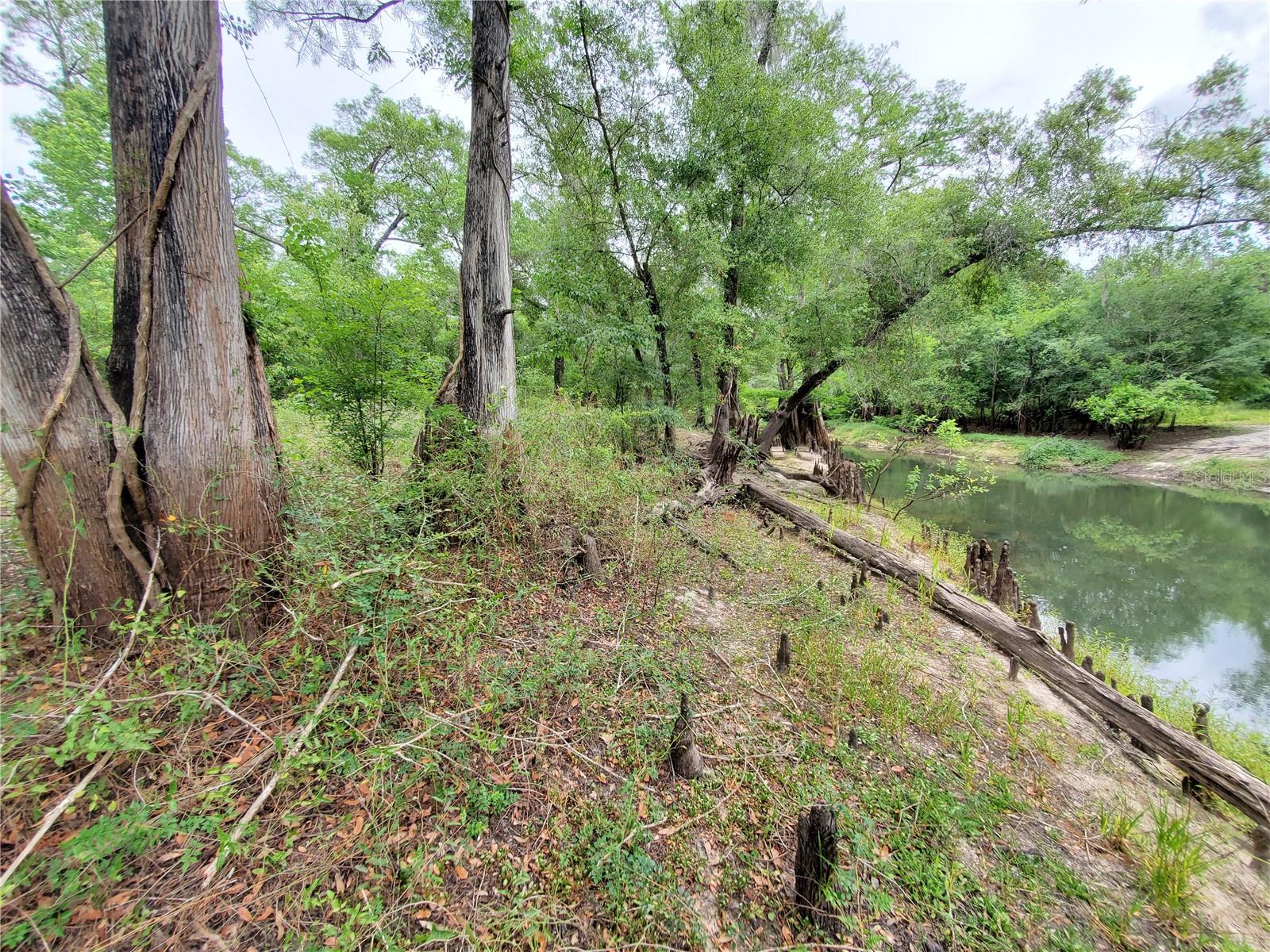 RINGWALT DR, DADE CITY, FL, 33523