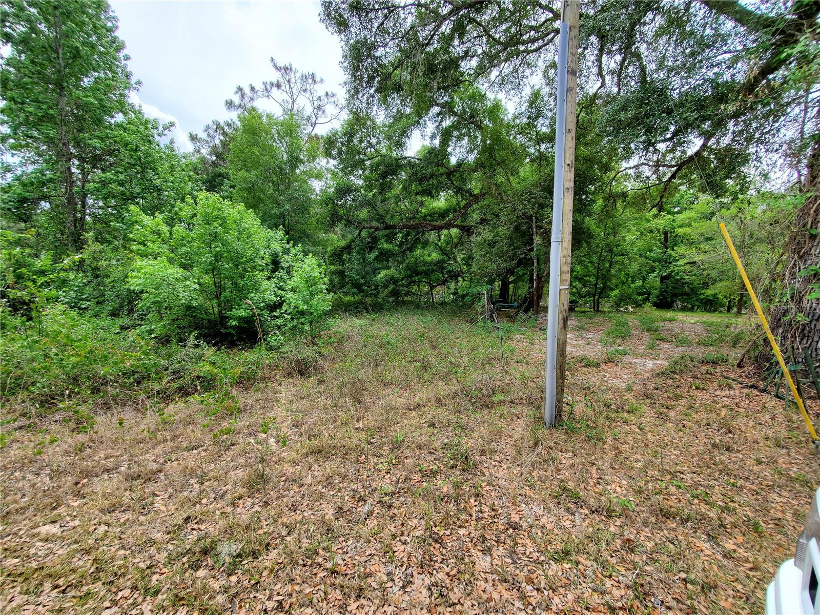 RINGWALT DR, DADE CITY, FL, 33523
