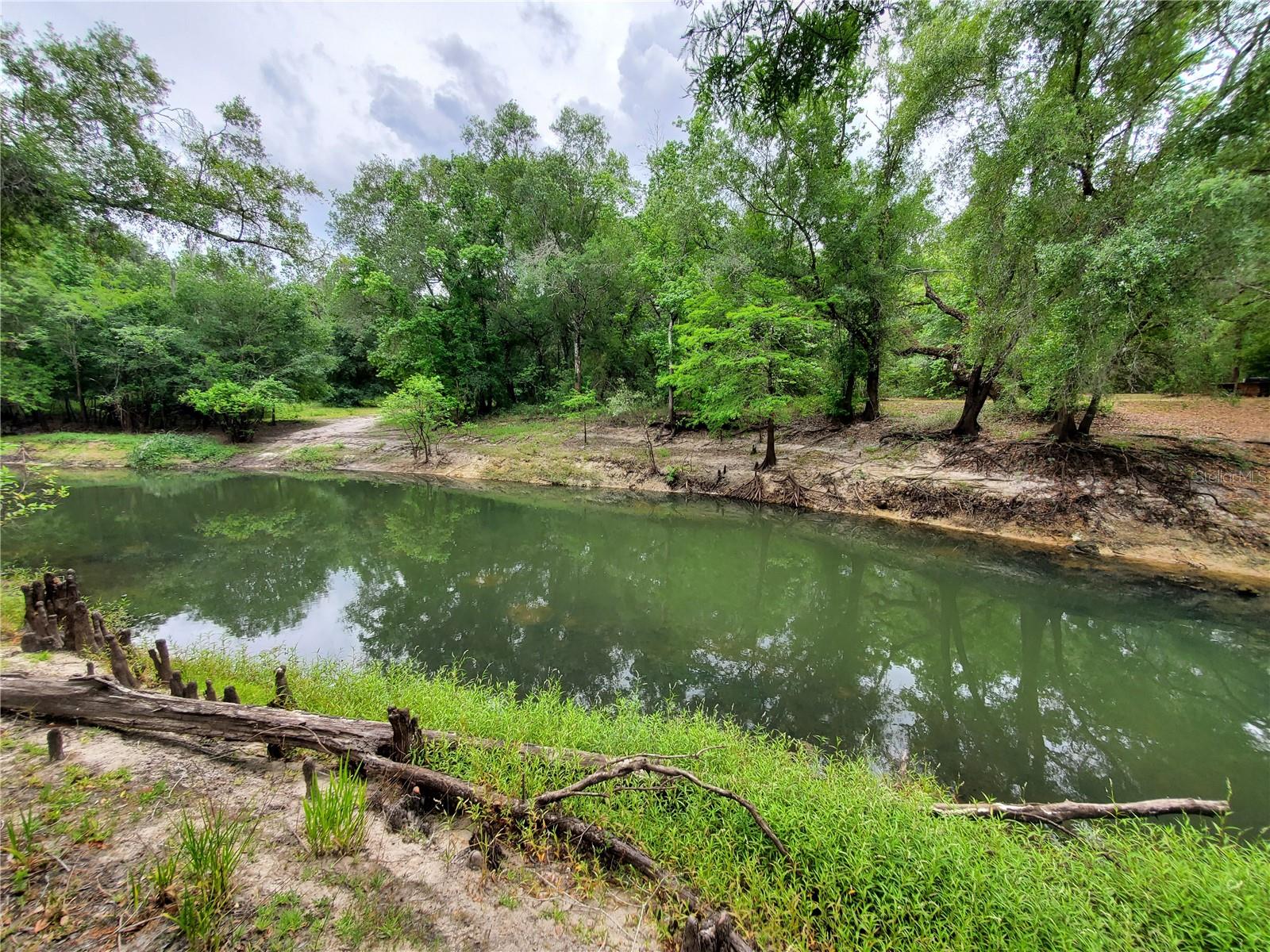 RINGWALT DR, DADE CITY, FL, 33523