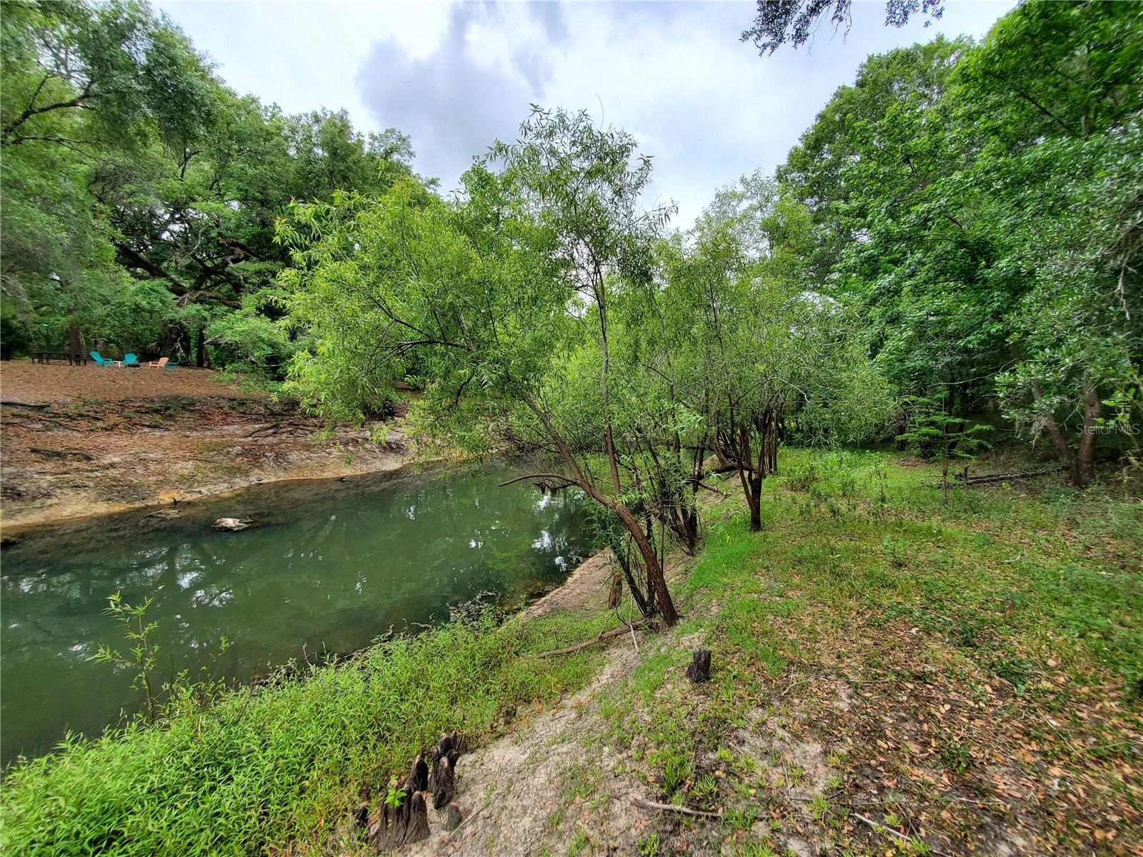 RINGWALT DR, DADE CITY, FL, 33523