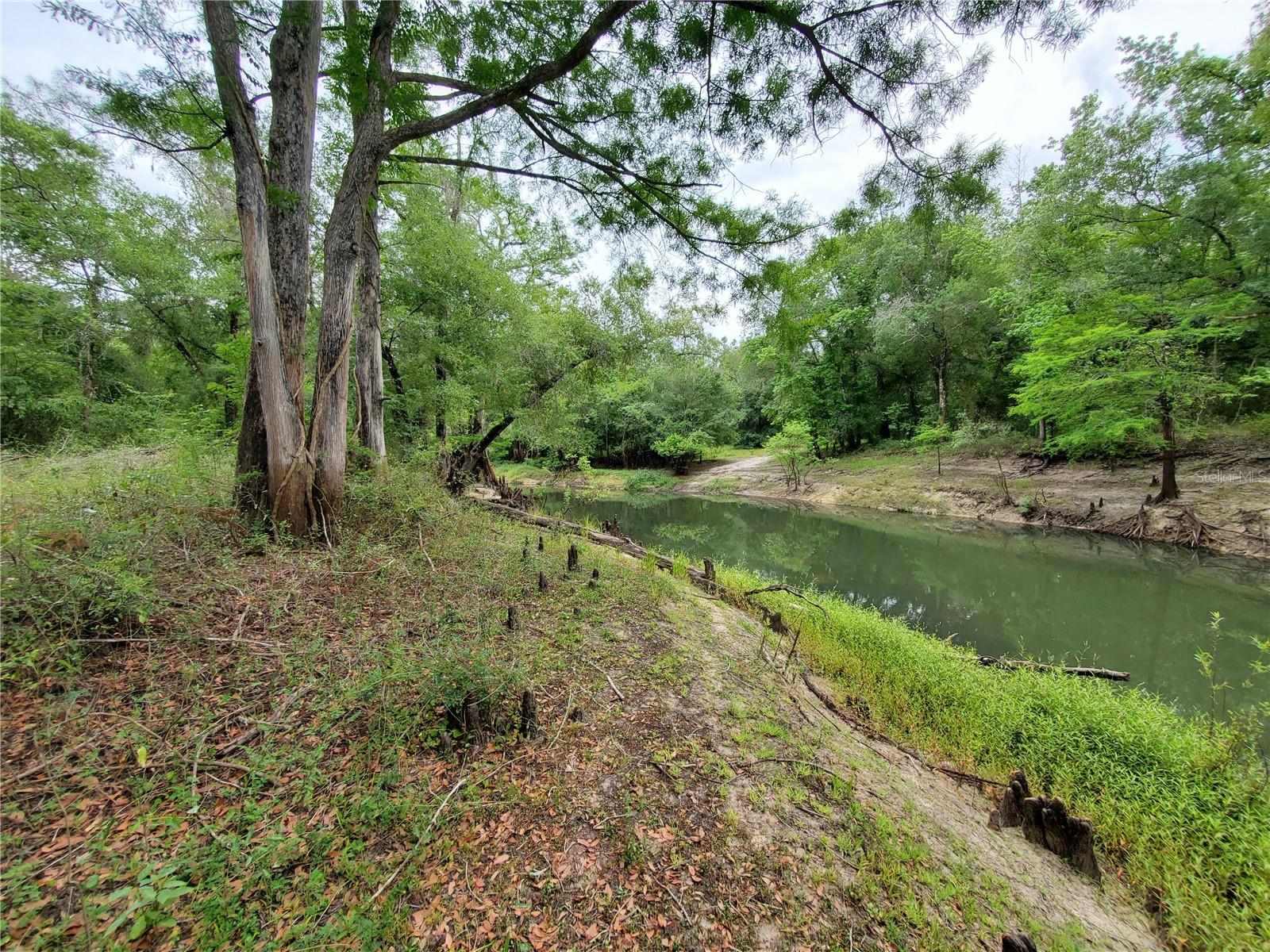 RINGWALT DR, DADE CITY, FL, 33523