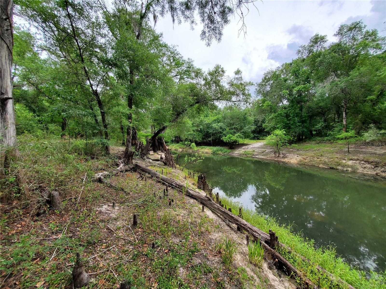 RINGWALT DR, DADE CITY, FL, 33523