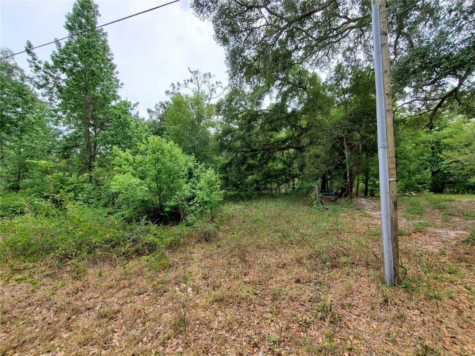 RINGWALT DR, DADE CITY, FL, 33523