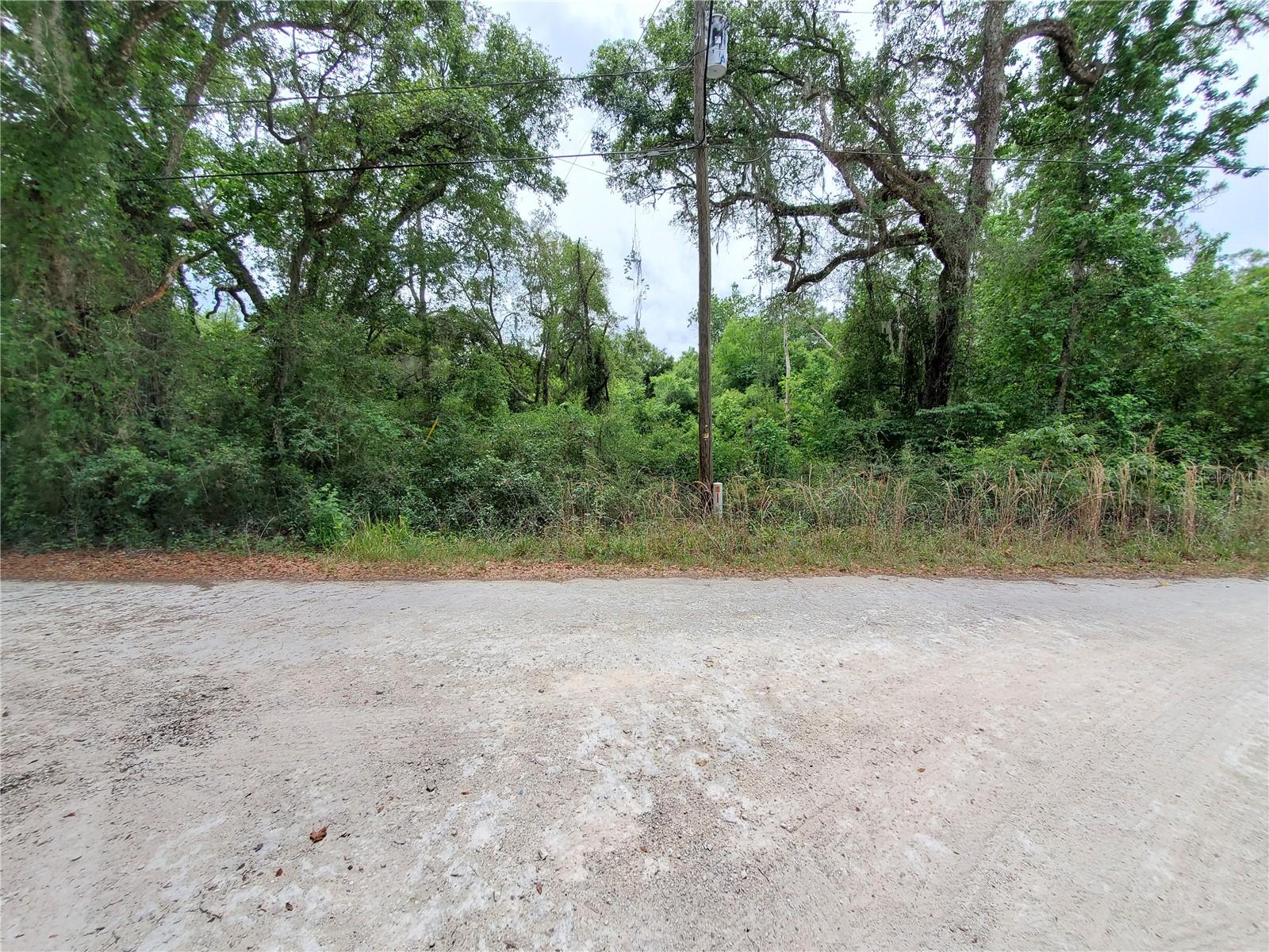 RINGWALT DR, DADE CITY, FL, 33523