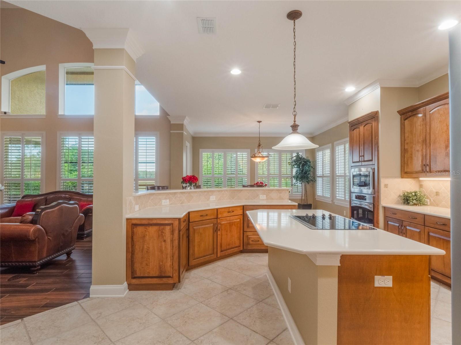25629 HAWKS RUN LN, SORRENTO, FL, 32776