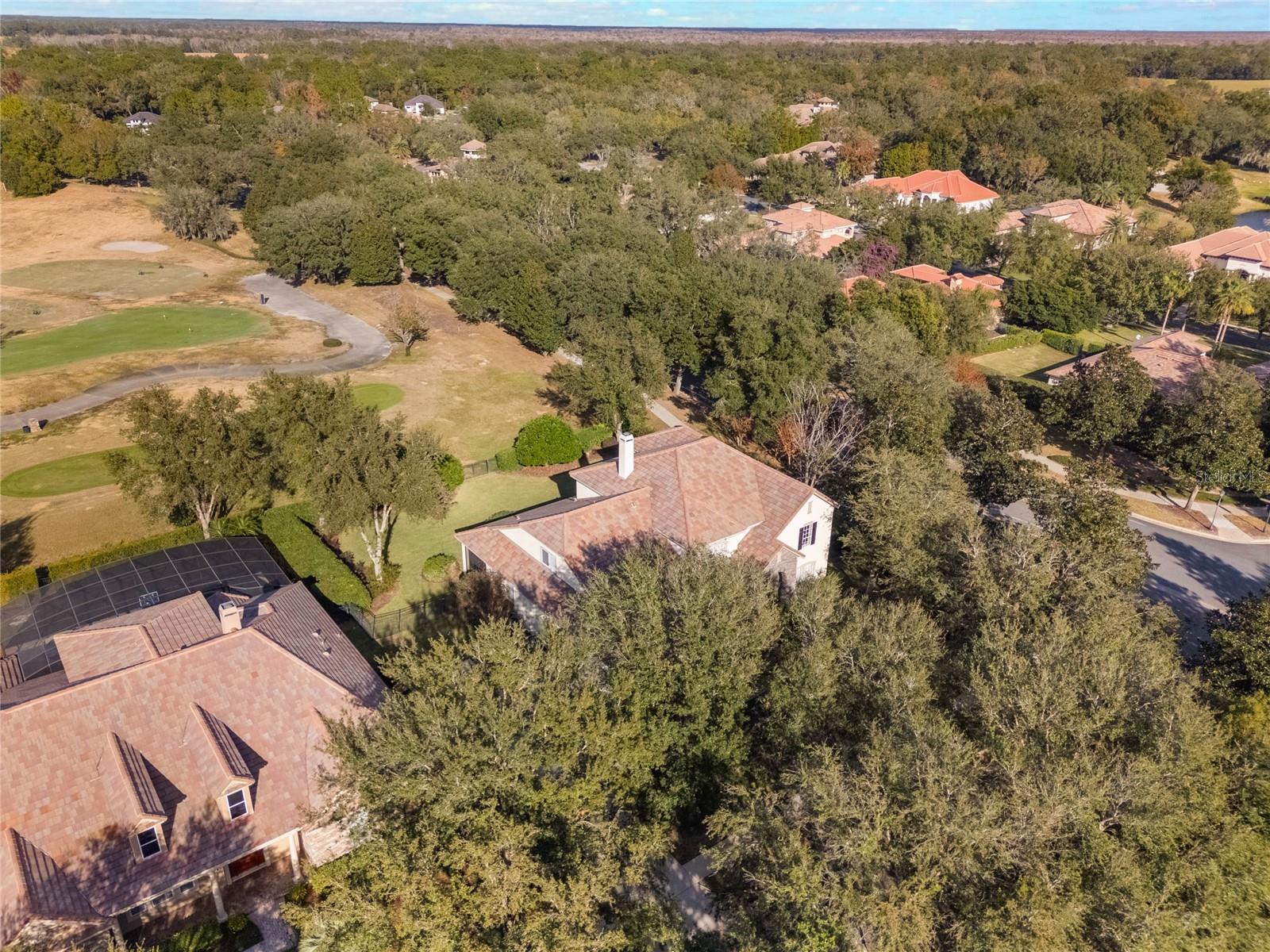 25629 HAWKS RUN LN, SORRENTO, FL, 32776