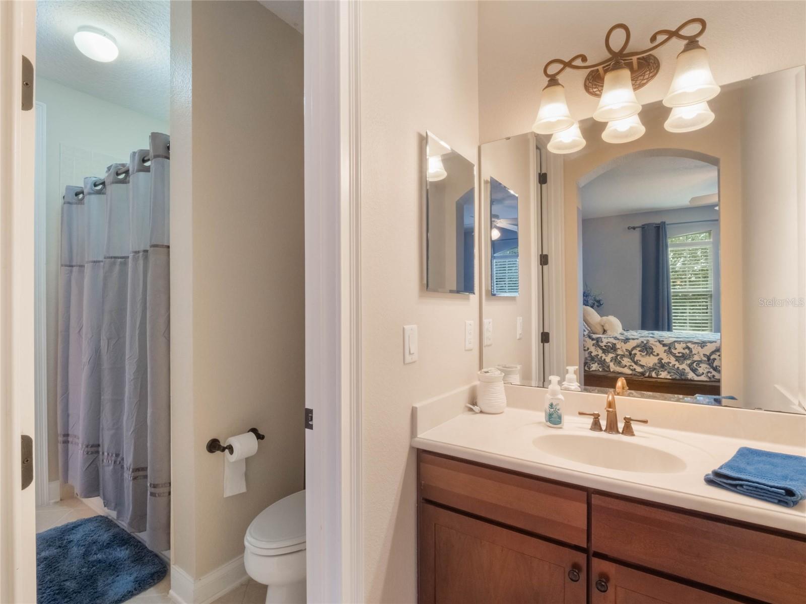 25629 HAWKS RUN LN, SORRENTO, FL, 32776